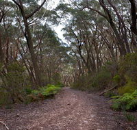 Budawang National Park - Accommodation Sunshine Coast