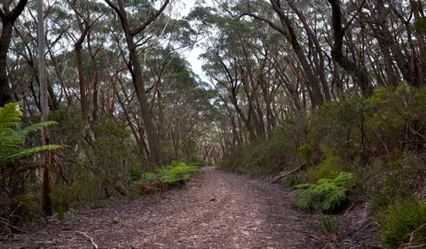 Budawang National Park - Accommodation Sunshine Coast 0