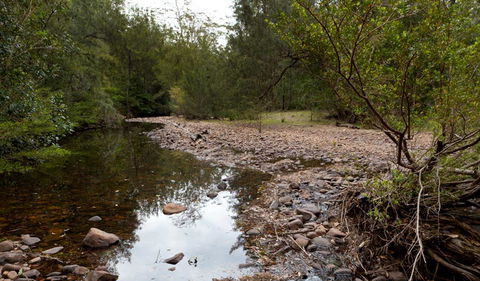 Budawang National Park - Accommodation Sunshine Coast 2