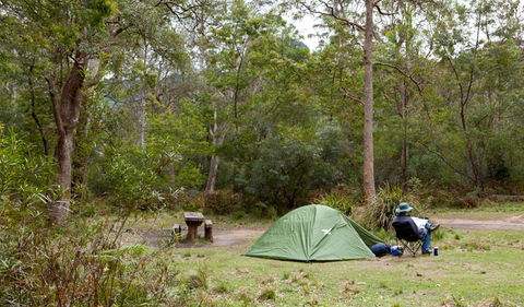 Budawang National Park - Accommodation Sunshine Coast 3
