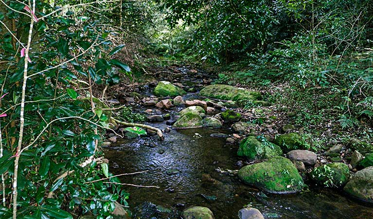 Macquarie Pass NSW Accommodation Sunshine Coast