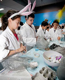 Australian Nuclear Science And Technology Organisation - Accommodation Sunshine Coast 1