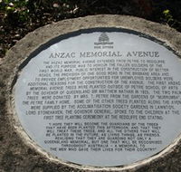 Anzac Memorial Avenue Redcliffe - Accommodation Sunshine Coast