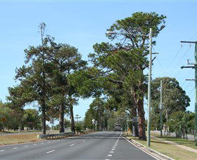 Anzac Memorial Avenue, Redcliffe - Accommodation Sunshine Coast 2