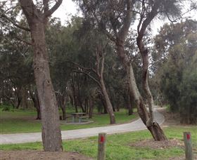 Tuggerah Lakes Cycleway - Accommodation Sunshine Coast 2