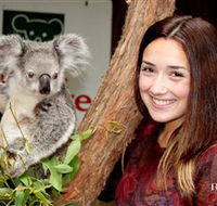 Blackbutt Reserve - Accommodation Sunshine Coast