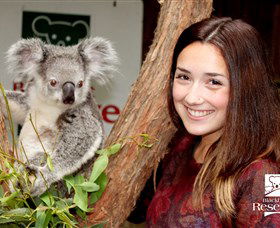 Blackbutt Reserve - Accommodation Sunshine Coast 0