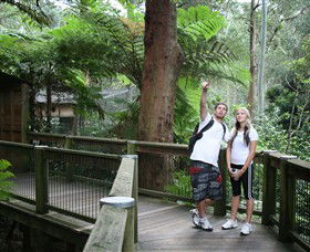 Blackbutt Reserve - Accommodation Sunshine Coast 1