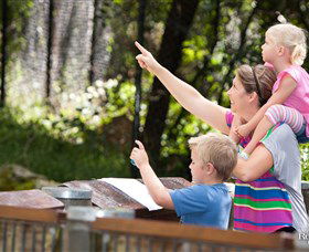 Blackbutt Reserve - Accommodation Sunshine Coast 4