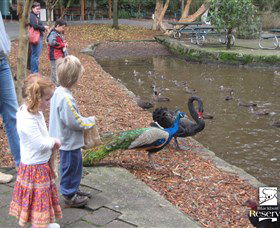 Blackbutt Reserve - Accommodation Sunshine Coast 5