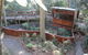 Blackbutt Reserve - thumb 3