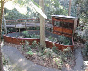 Blackbutt Reserve - Accommodation Sunshine Coast 3