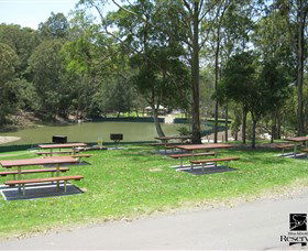 Blackbutt Reserve - Accommodation Sunshine Coast 7