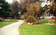 The Entrance Coast To Lake Walk - thumb 2