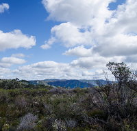 Barren Grounds Nature Reserve - Accommodation Sunshine Coast