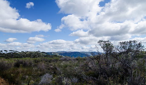 Barren Grounds Nature Reserve - Accommodation Sunshine Coast 0