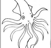 Squid Studio - Accommodation Sunshine Coast