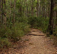 Pigeon House Mountain Didthul walking track - Accommodation Sunshine Coast