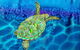 Sea Silks Gallery - thumb 5