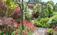 Ivy Hill Gallery - thumb 6