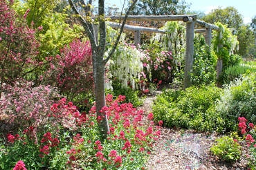 Ivy Hill Gallery - Accommodation Sunshine Coast 6
