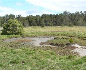 Boondall Wetlands Reserve - Accommodation Sunshine Coast 1