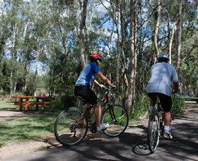 Boondall Wetlands Reserve - Accommodation Sunshine Coast 2