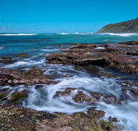 Wyrrabalong National Park - Accommodation Sunshine Coast