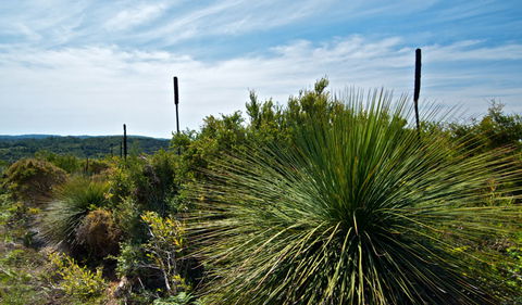 Munmorah State Conservation Area - Accommodation Sunshine Coast 1