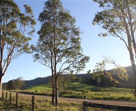Tourist Drive 2 - Bucketts Way - Accommodation Sunshine Coast 1