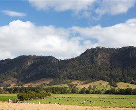 Tourist Drive 2 - Bucketts Way - Accommodation Sunshine Coast 2