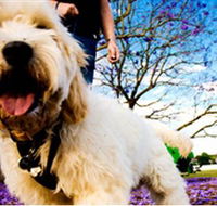 Tuckeroo Park - Accommodation Sunshine Coast