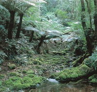 The Corn Trail Walk - Accommodation Sunshine Coast