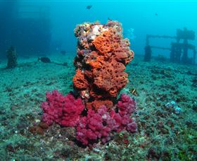 HMAS Brisbane Dive Site - Accommodation Sunshine Coast 0