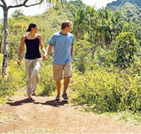 Hoddles Track - Accommodation Sunshine Coast
