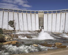 Wellington National Park - Accommodation Sunshine Coast 0