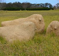 Unreal Rocks Statue Gallery - Accommodation Sunshine Coast