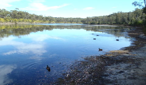 Conjola National Park - Accommodation Sunshine Coast 1