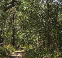 Sand track walk south - Accommodation Sunshine Coast