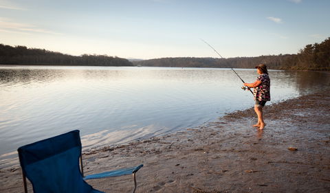 Clyde River National Park - Accommodation Sunshine Coast 0