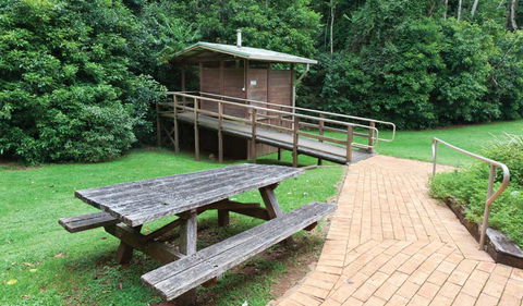 The Glade Picnic Area - Accommodation Sunshine Coast 0