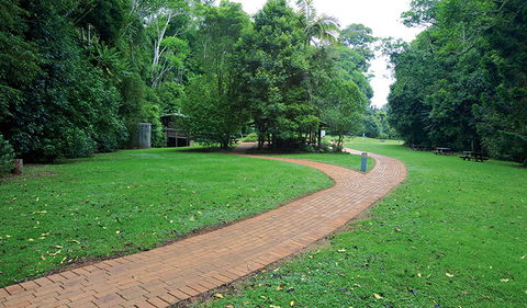 The Glade Picnic Area - Accommodation Sunshine Coast 1