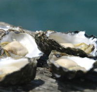 Jim Wilds Oyster Service - Accommodation Sunshine Coast
