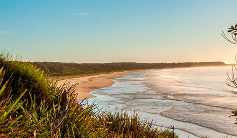 Burrawang Track - Conjola Beach To Buckleys Point - Accommodation Sunshine Coast 2