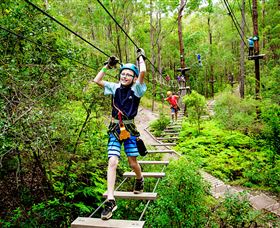 TreeTop Challenge - Accommodation Sunshine Coast 1