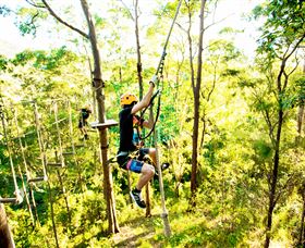 TreeTop Challenge - Accommodation Sunshine Coast 3