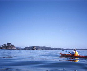 Kayaking Batemans Bay - Accommodation Sunshine Coast 0