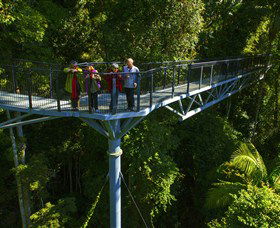 Tamborine Rainforest Skywalk - Accommodation Sunshine Coast 1
