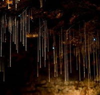 Tamborine Mountain Glow Worm Caves - Accommodation Sunshine Coast