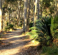 Square Head track 2 - Accommodation Sunshine Coast